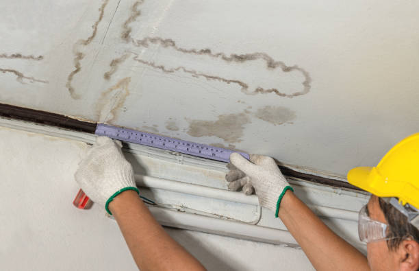 24/7 Emergency Structural Drying experts in Buckley, WA